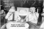 jlf00008