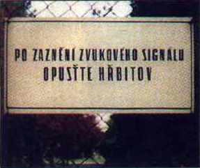 jlf00031